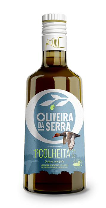 PRIMEIRA COLHEITA