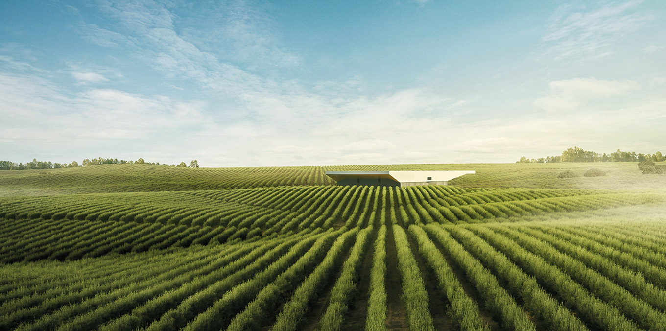 Oliveira da Serra Lagar do Marmelo