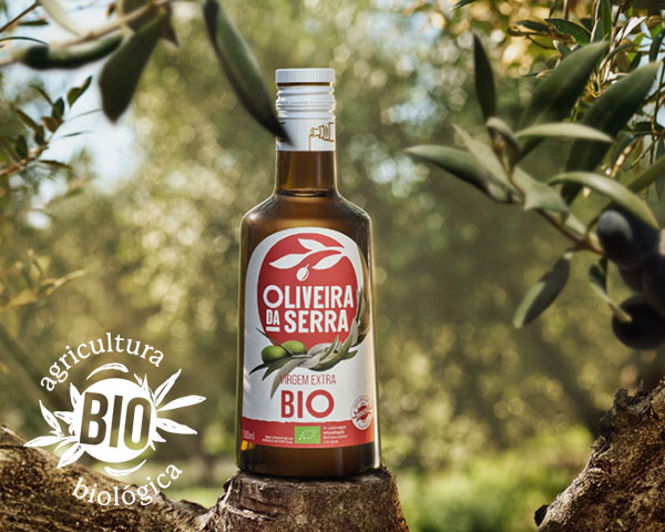 Oliveira da Serra Beliefs
