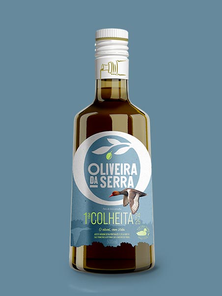 PRIMEIRA COLHEITA